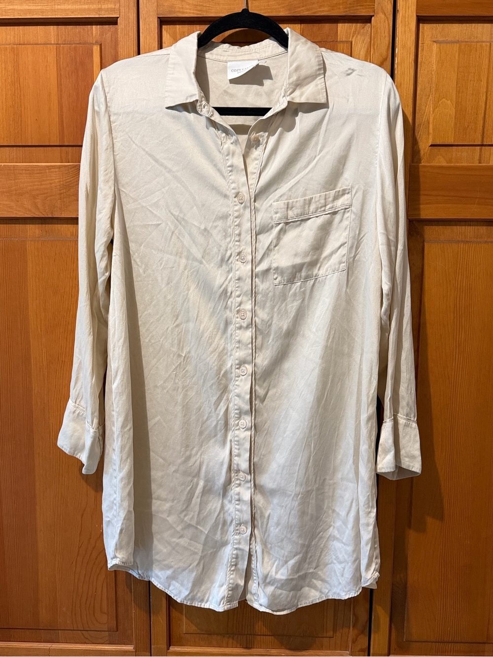 Cozy Earth Serenity Silk Sleep Dress
